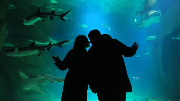 acquario_genova acquario_genova